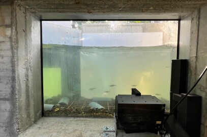 Davanzale con rampa parziale per la migrazione dei pesci Kleine Emme (LU)