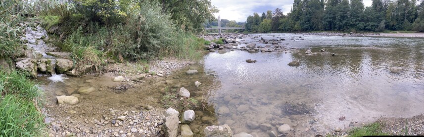 Mündungsbereich des Tülebachs in Kradolf-Schönenberg